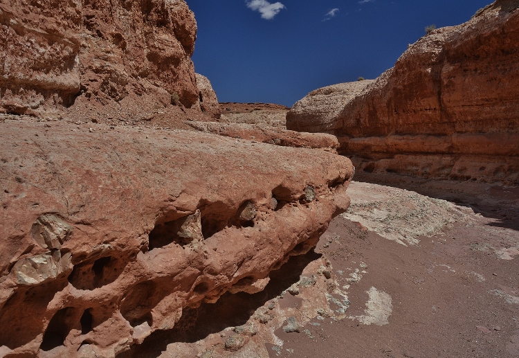 Lower Cathedral Wash